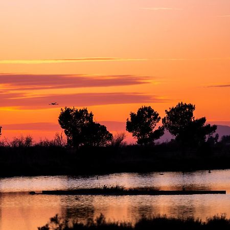 Villa La Provence Hyères Eksteriør bilde