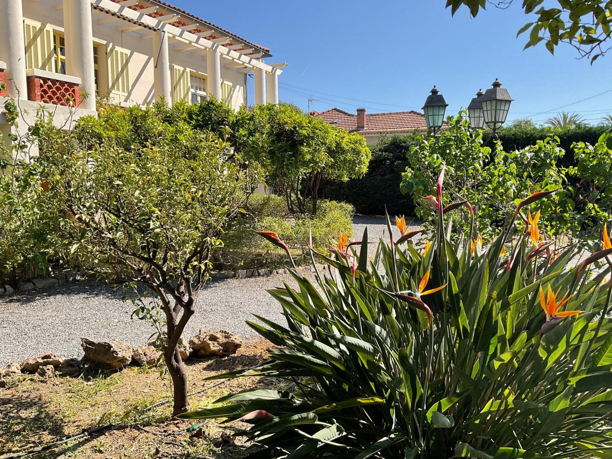 Villa La Provence Hyères Eksteriør bilde