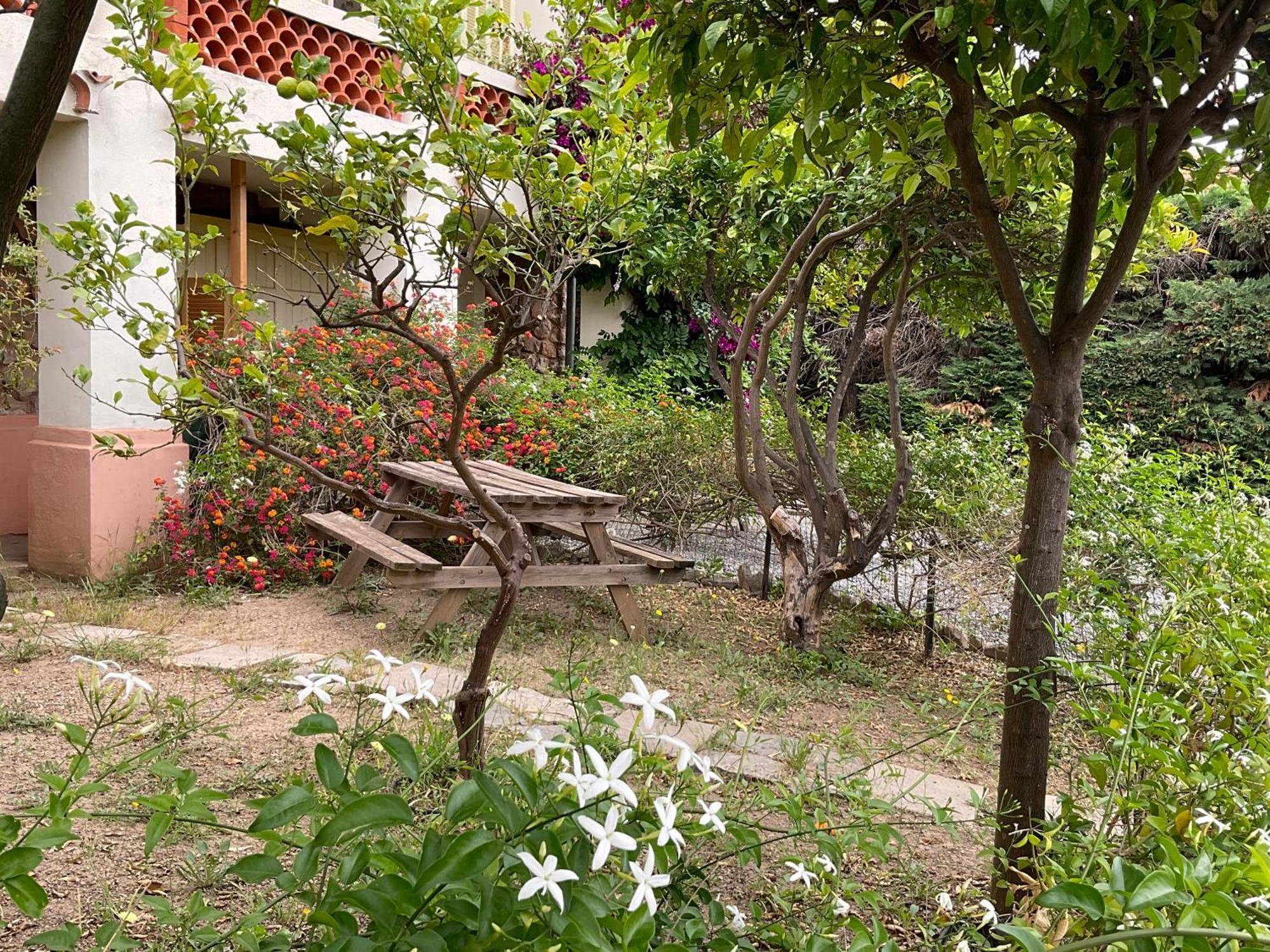 Villa La Provence Hyères Eksteriør bilde