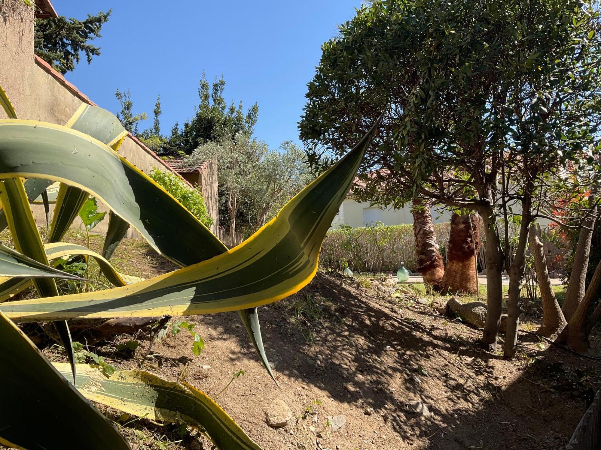 Villa La Provence Hyères Eksteriør bilde