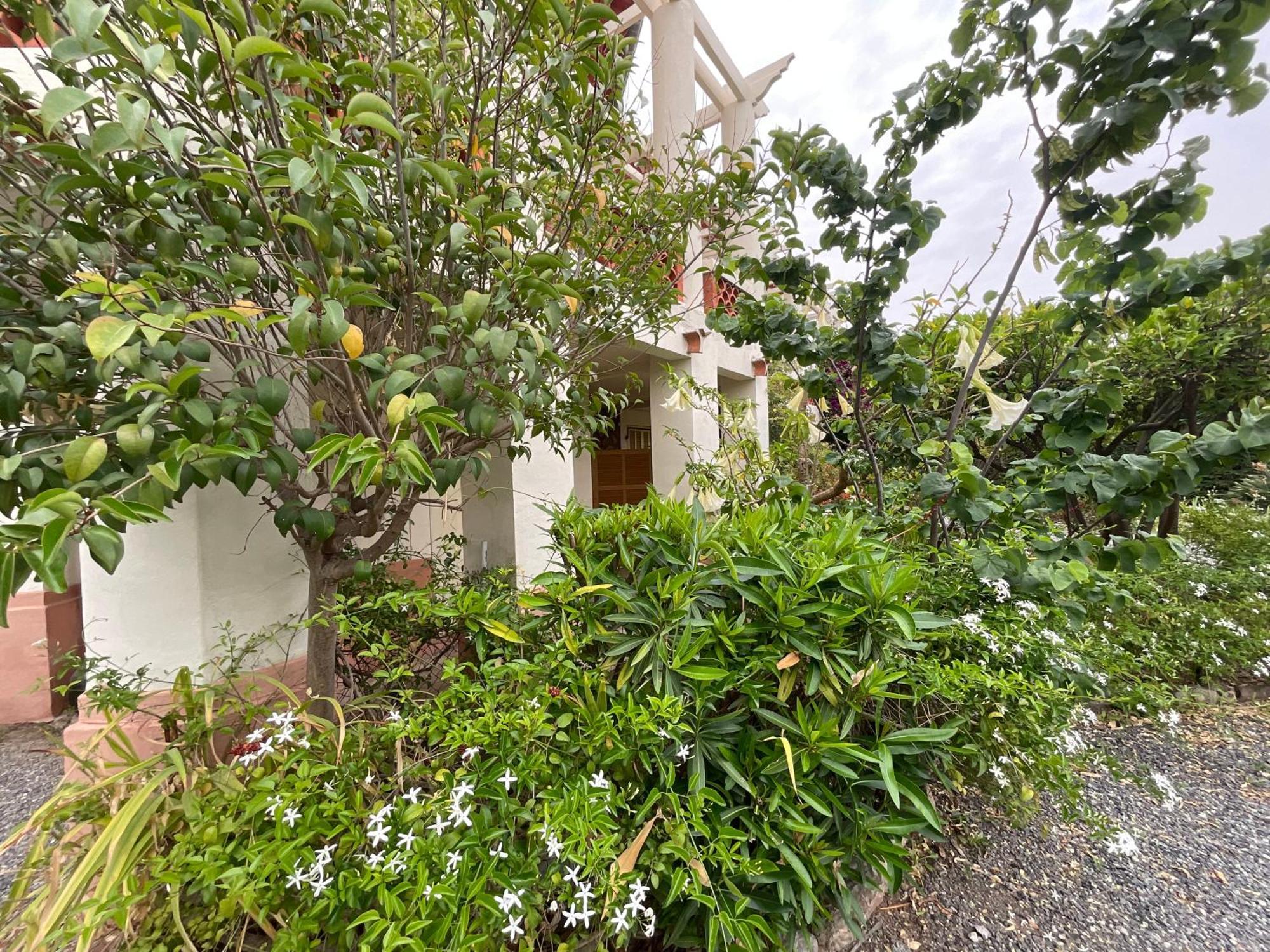Villa La Provence Hyères Eksteriør bilde