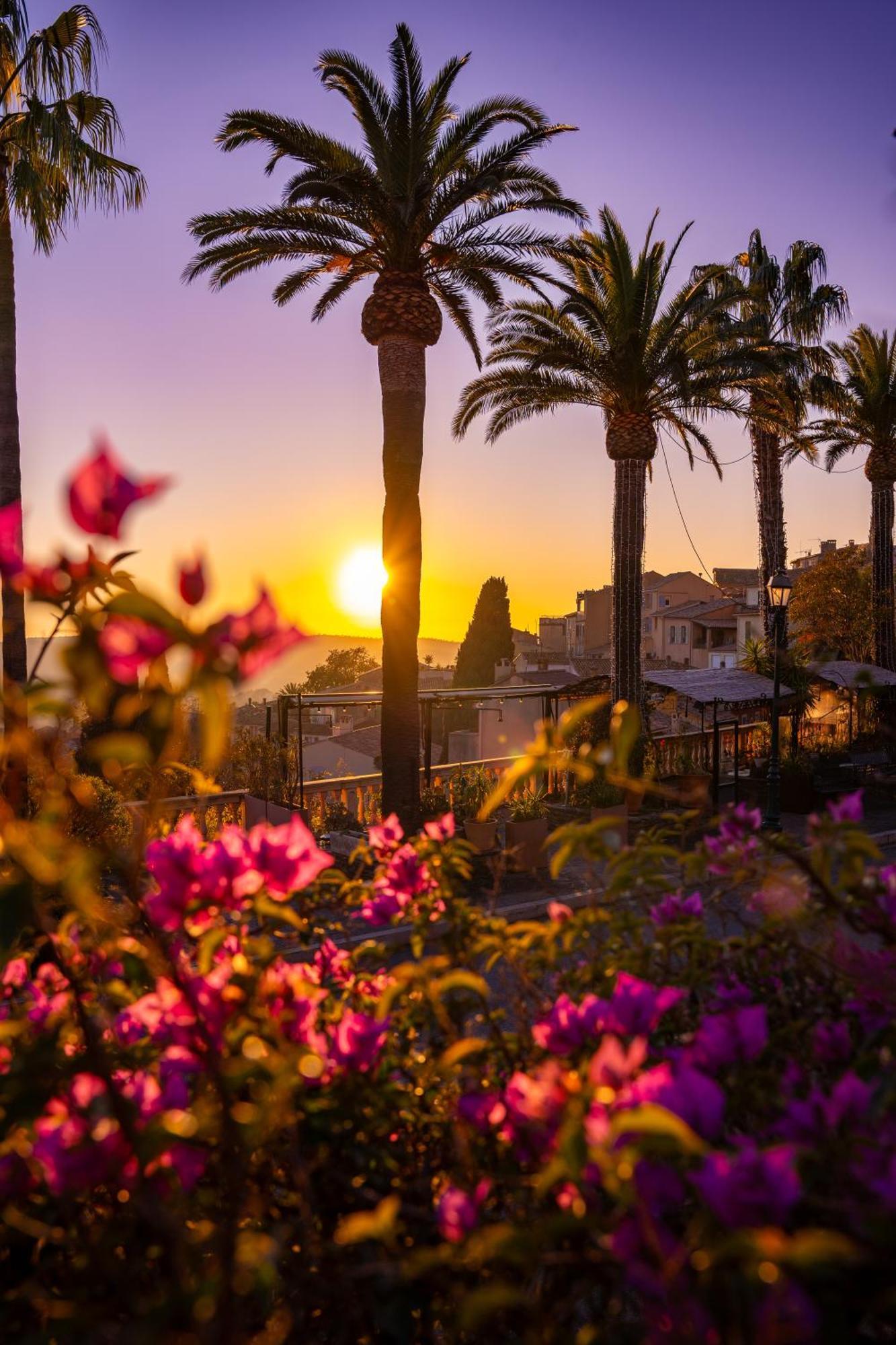 Villa La Provence Hyères Eksteriør bilde