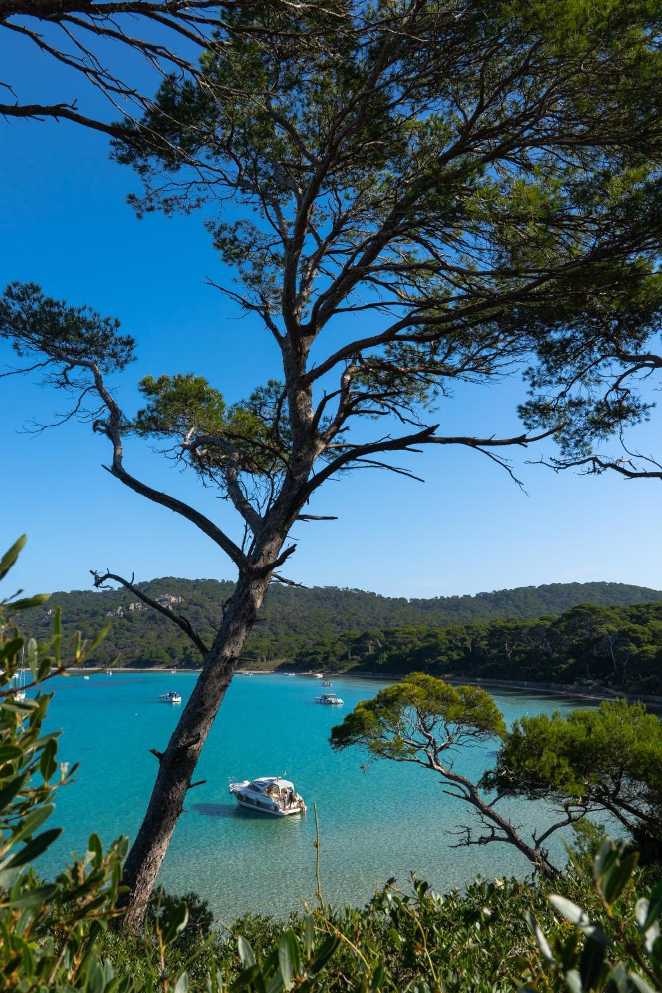 Villa La Provence Hyères Eksteriør bilde