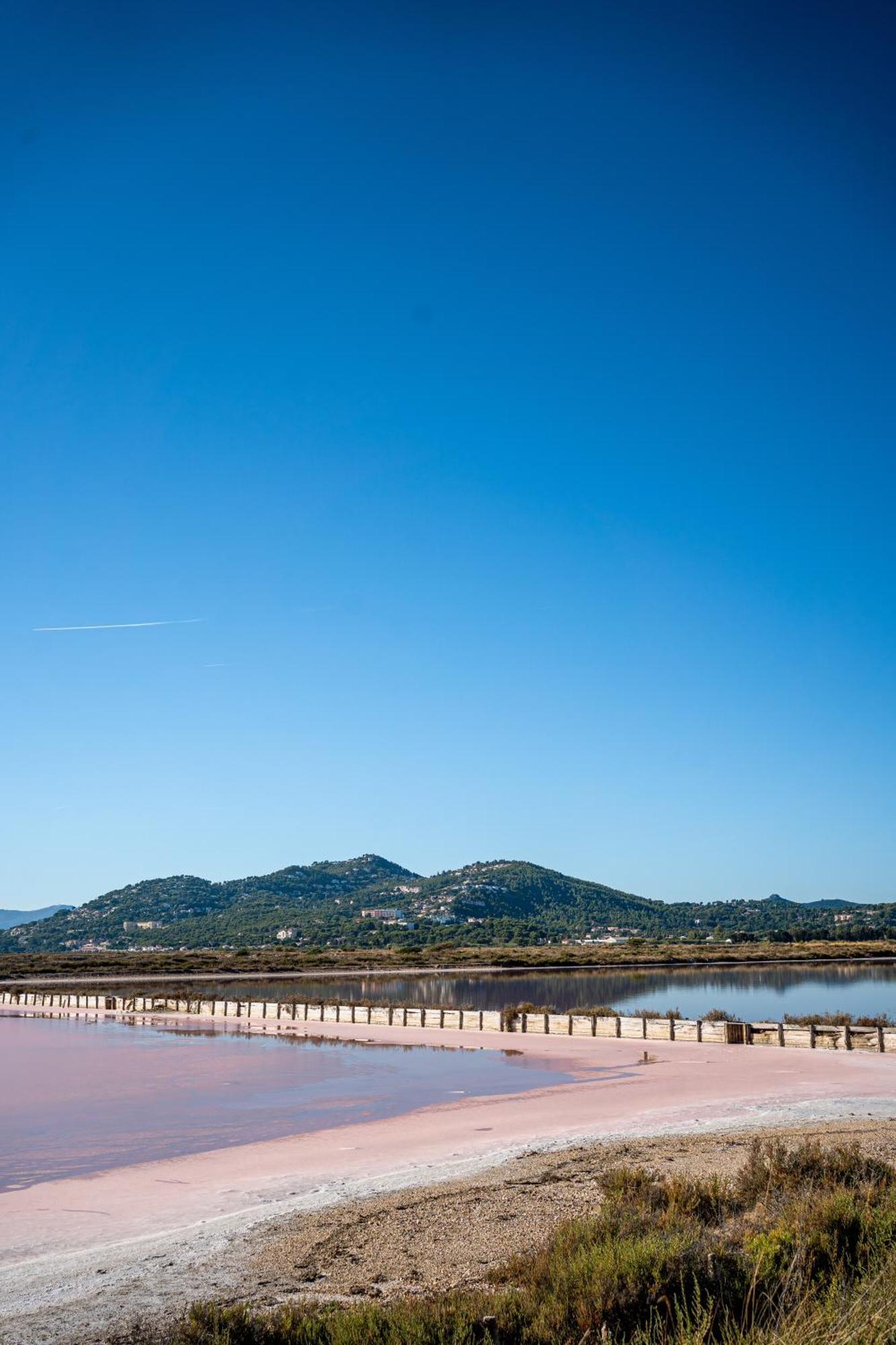 Villa La Provence Hyères Eksteriør bilde