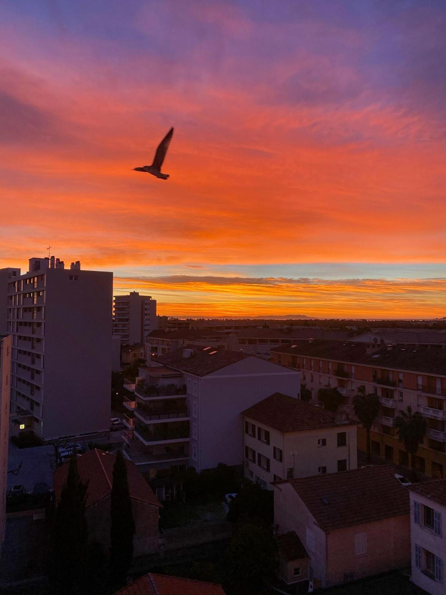 Villa La Provence Hyères Eksteriør bilde